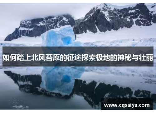 如何踏上北风苔原的征途探索极地的神秘与壮丽