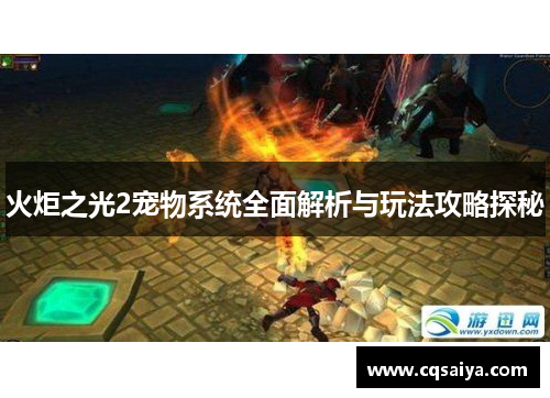 火炬之光2宠物系统全面解析与玩法攻略探秘